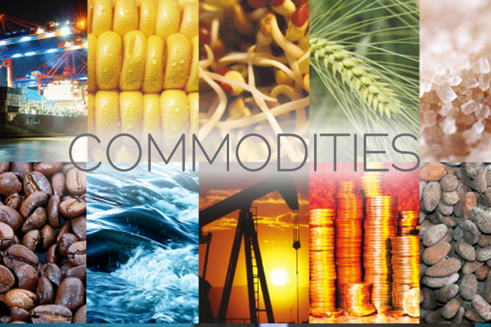 biggest commodities